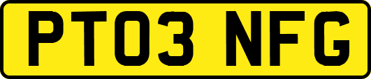 PT03NFG