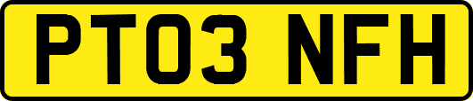 PT03NFH
