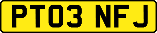 PT03NFJ