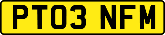 PT03NFM