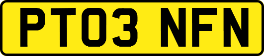 PT03NFN