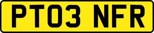 PT03NFR