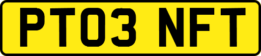 PT03NFT