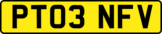 PT03NFV