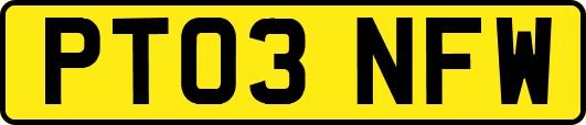 PT03NFW