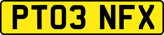 PT03NFX