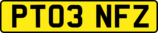 PT03NFZ