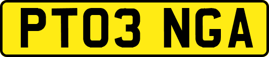 PT03NGA