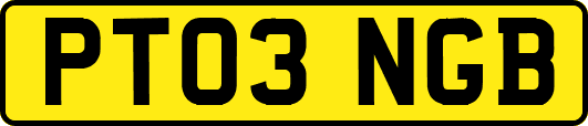 PT03NGB