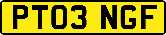 PT03NGF