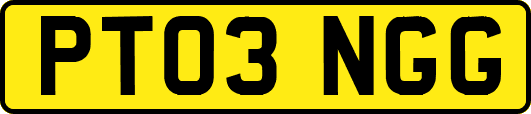 PT03NGG