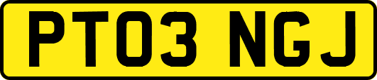 PT03NGJ