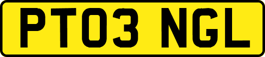 PT03NGL