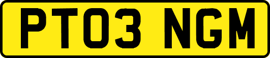 PT03NGM