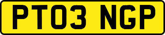 PT03NGP