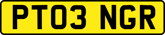 PT03NGR