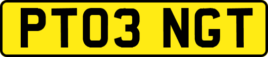 PT03NGT