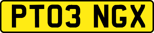 PT03NGX