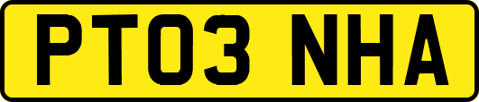 PT03NHA