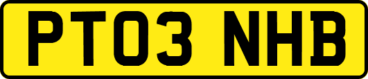 PT03NHB