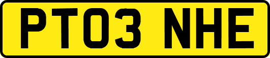 PT03NHE