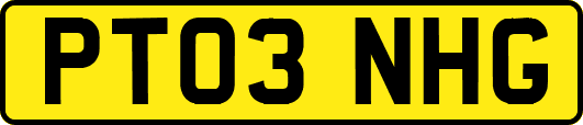 PT03NHG