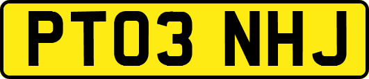 PT03NHJ