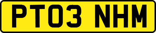 PT03NHM