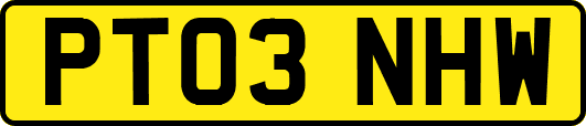 PT03NHW