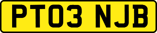 PT03NJB