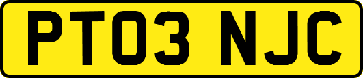PT03NJC