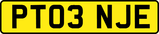 PT03NJE