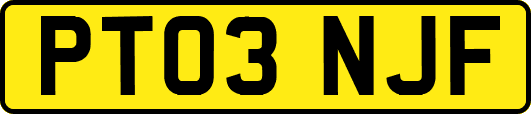 PT03NJF