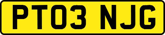 PT03NJG