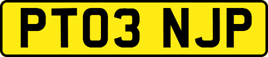 PT03NJP