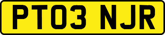 PT03NJR