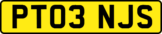 PT03NJS