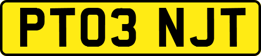 PT03NJT