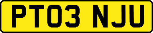 PT03NJU