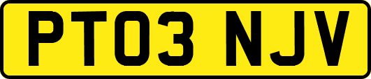 PT03NJV