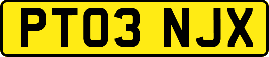PT03NJX