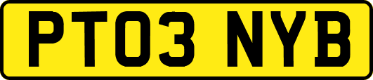 PT03NYB
