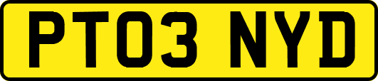 PT03NYD