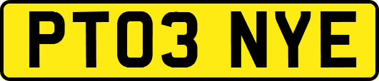PT03NYE