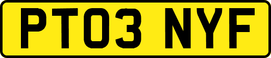 PT03NYF