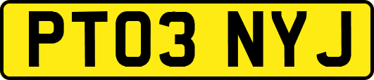 PT03NYJ