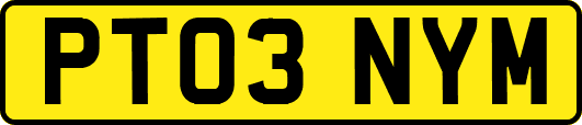 PT03NYM