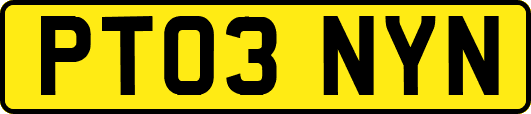 PT03NYN