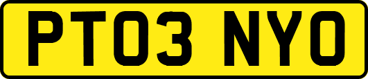 PT03NYO