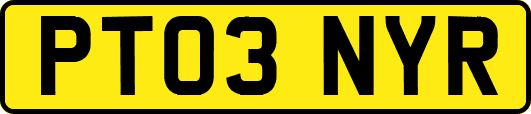 PT03NYR